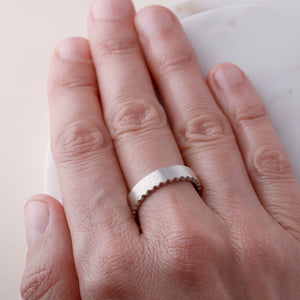 Strata Edge Band - Sample - Silver