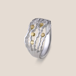 NEW - Statement Strata Ring - Silver and Gold